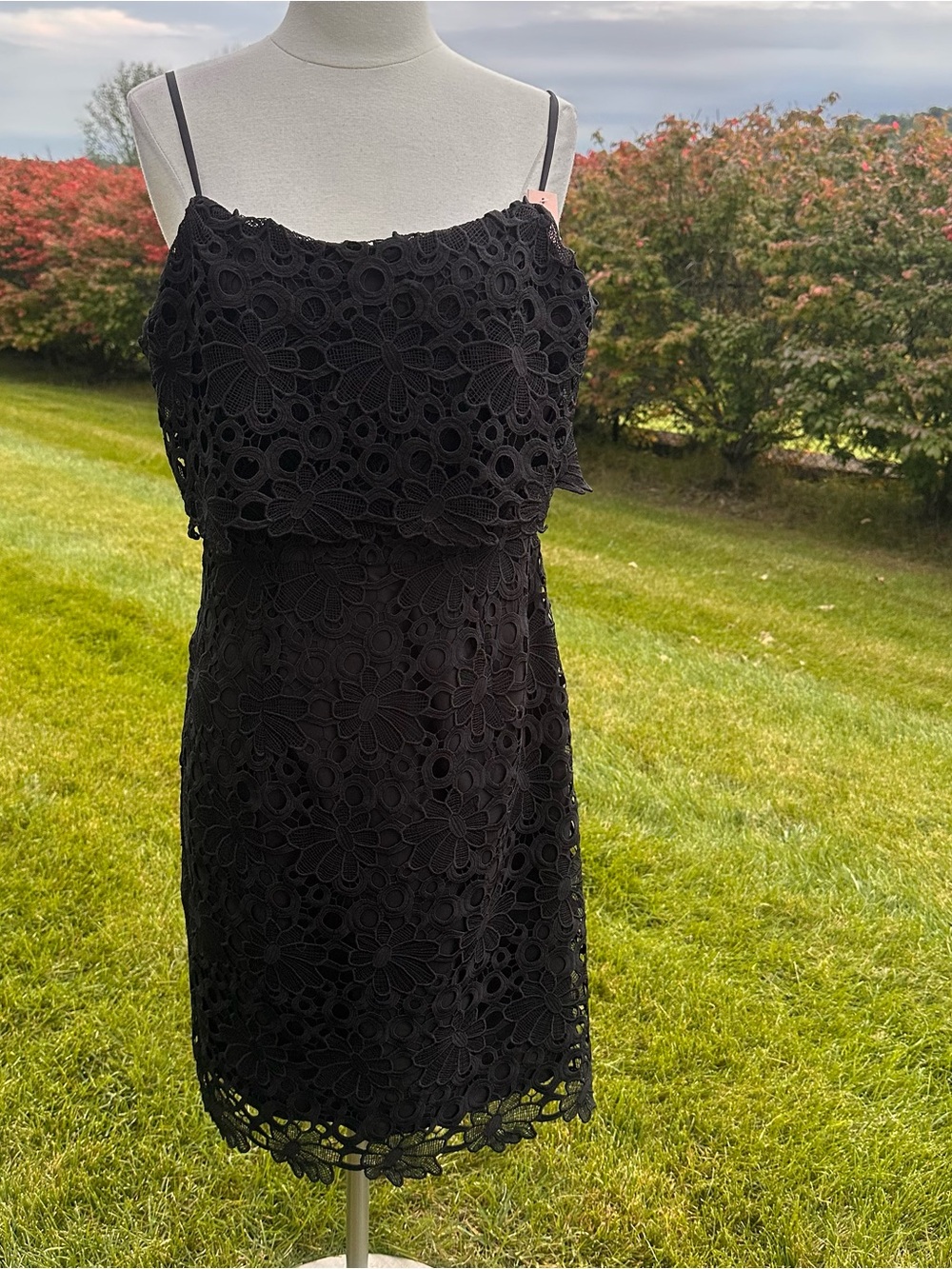 Nanette Lepore Black Bella Donna Floral Crochet Lace Sheath Dress Size 8 NWT